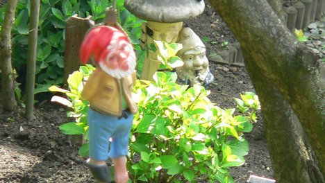 Erhängter Gartenzwerg in Vohwinkel